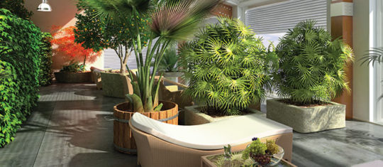 espace vert intérieur