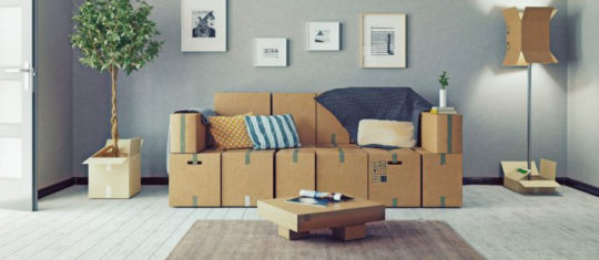 meuble en carton
