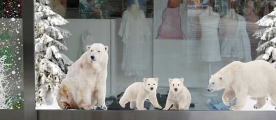 vitrine-de-noel