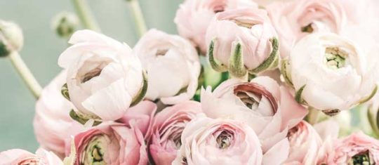 fleuristes en ligne