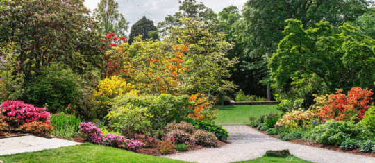 aménagement de votre jardin