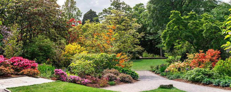 aménagement de votre jardin