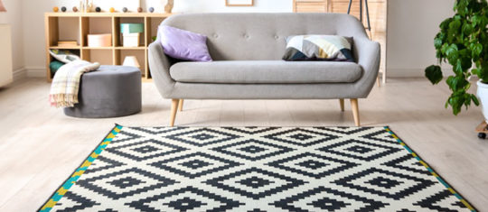 tapis de salon
